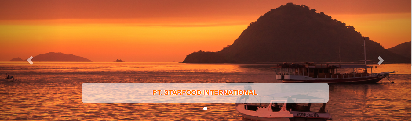 PT. STARFOOD INTERNATIONAL